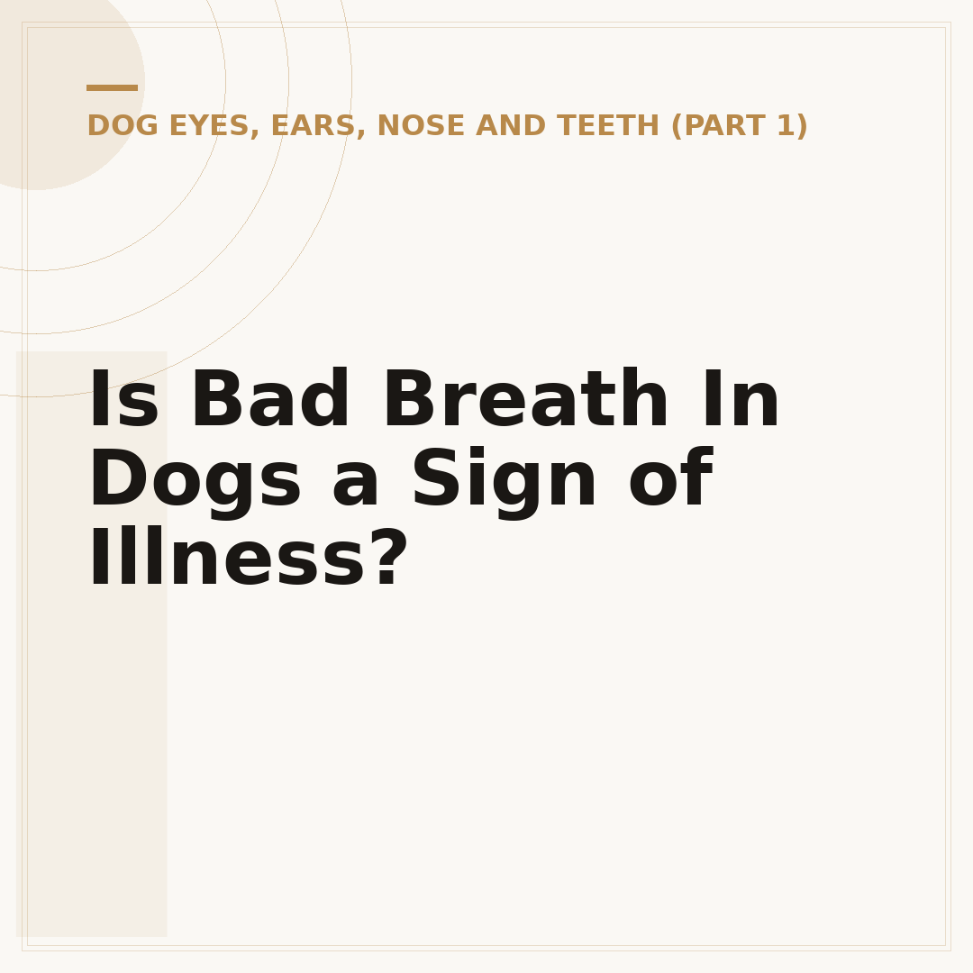Is Bad Breath In Dogs a Sign of Illness?