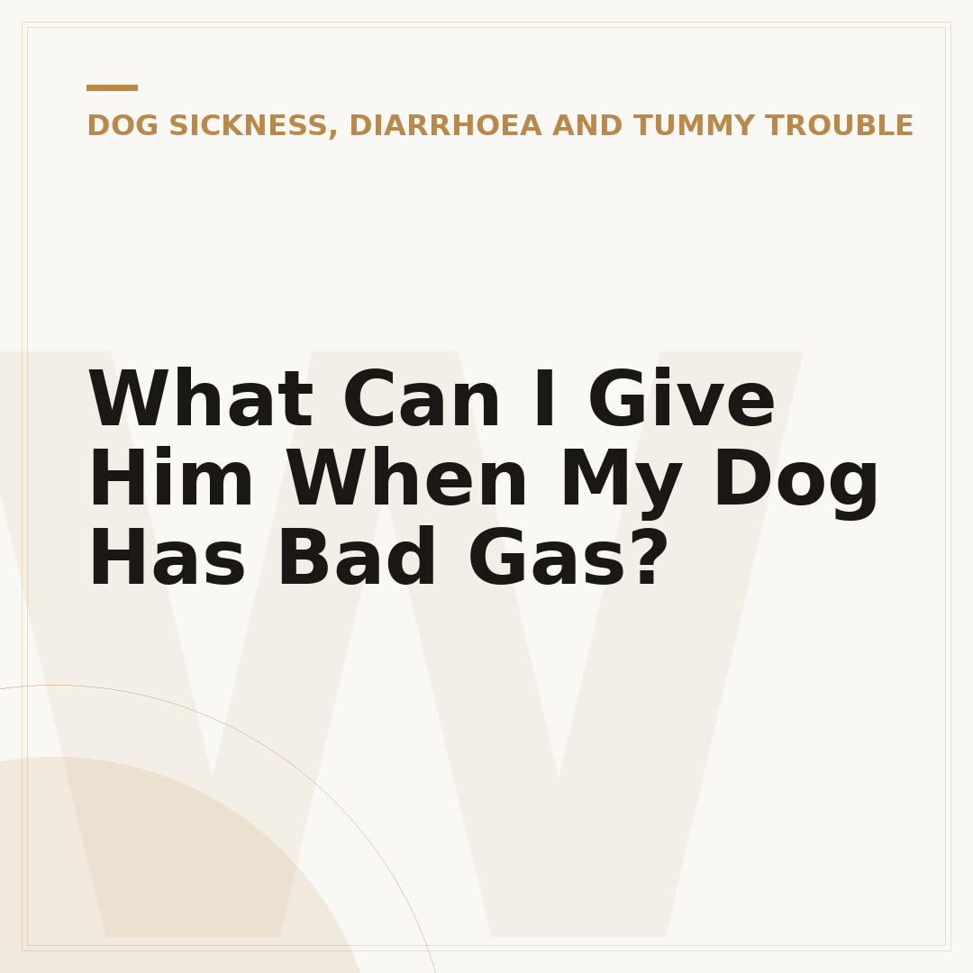 What Can I Give Him When My Dog Has Bad Gas?