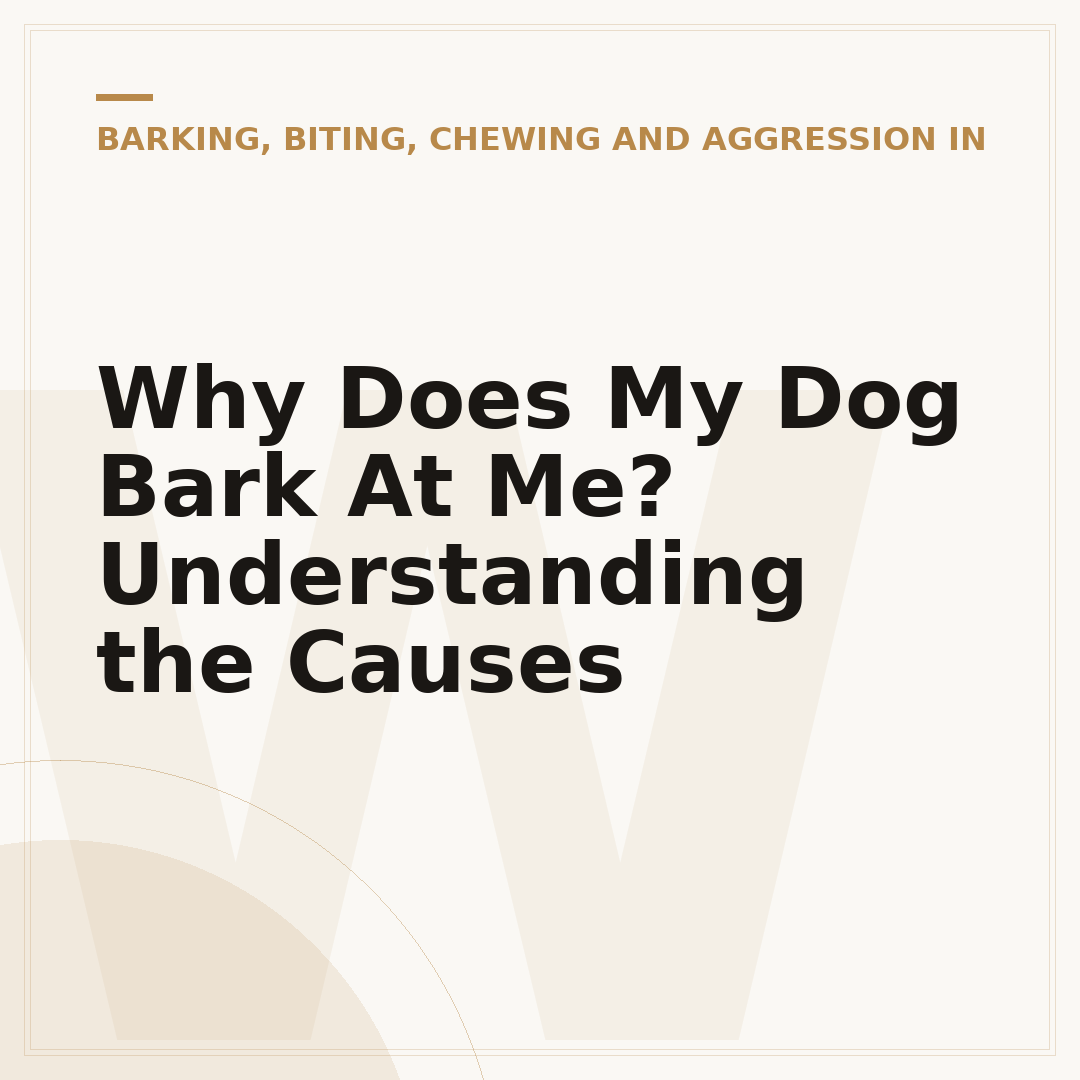 Why Does My Dog Bark At Me? Understanding the Causes