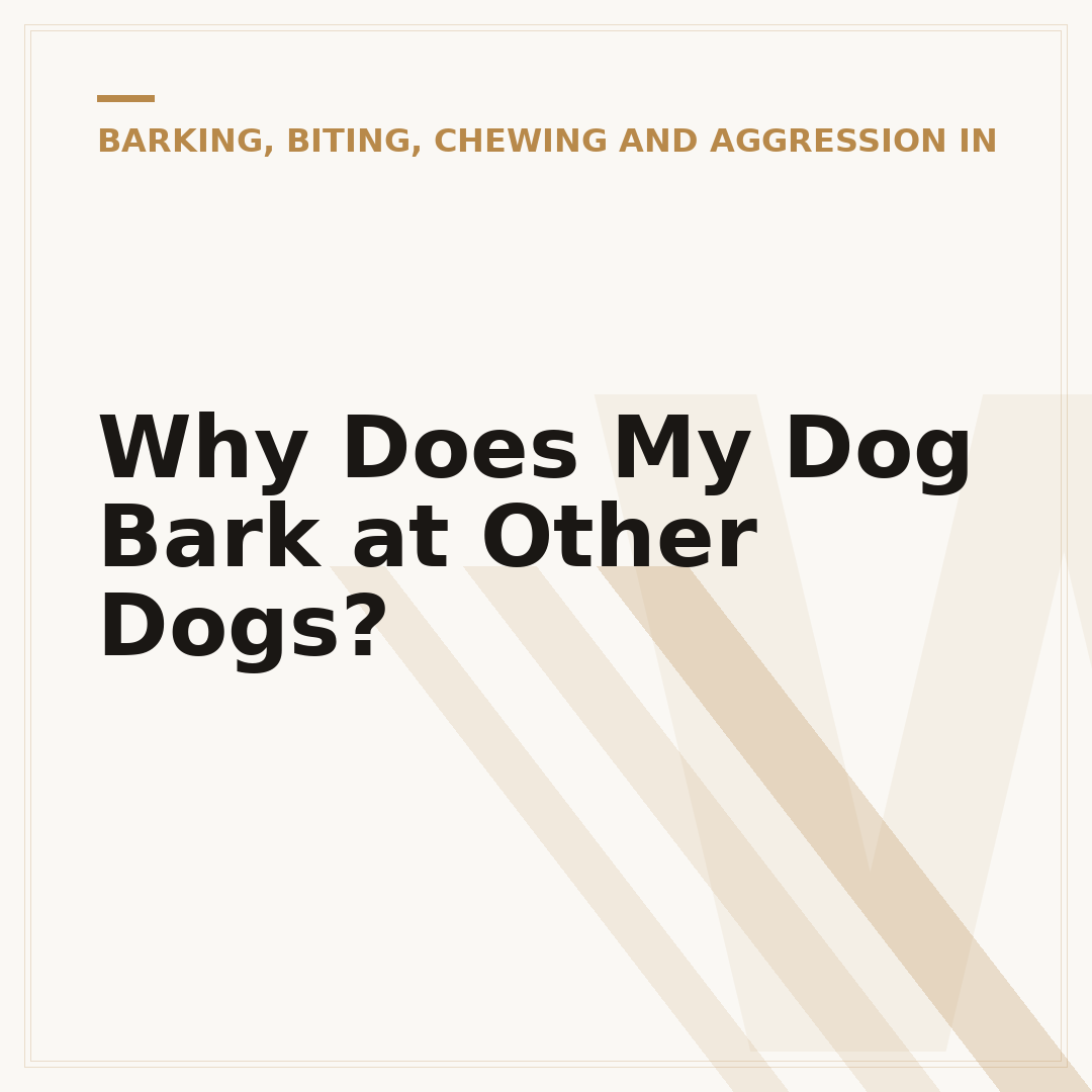 Why Does My Dog Bark at Other Dogs?