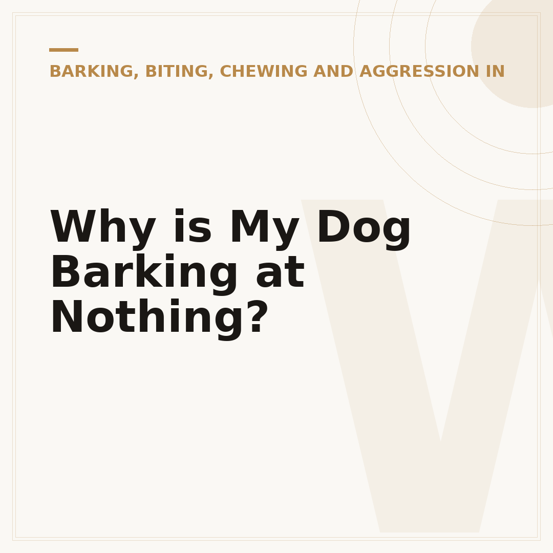 Why is My Dog Barking at Nothing?