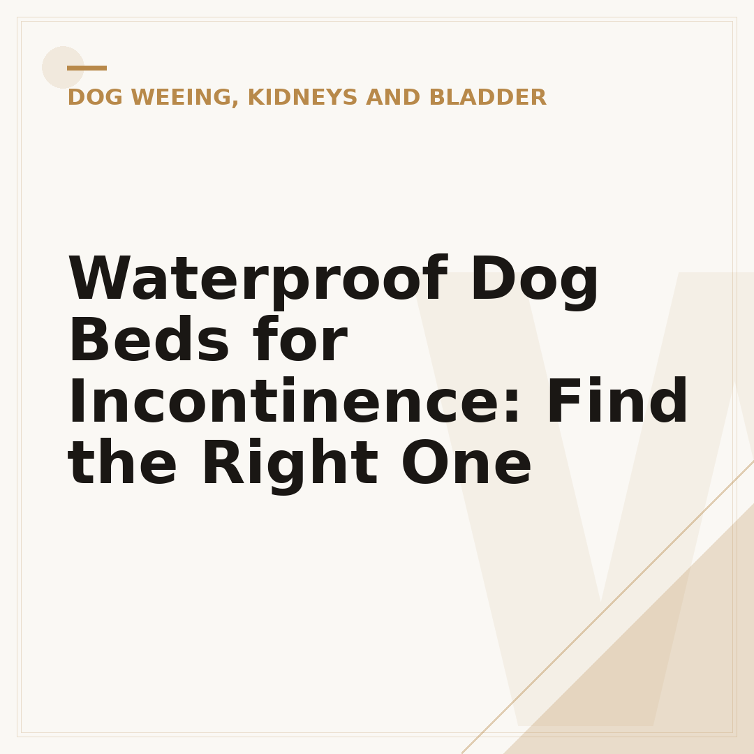 Waterproof Dog Beds for Incontinence: Find the Right One