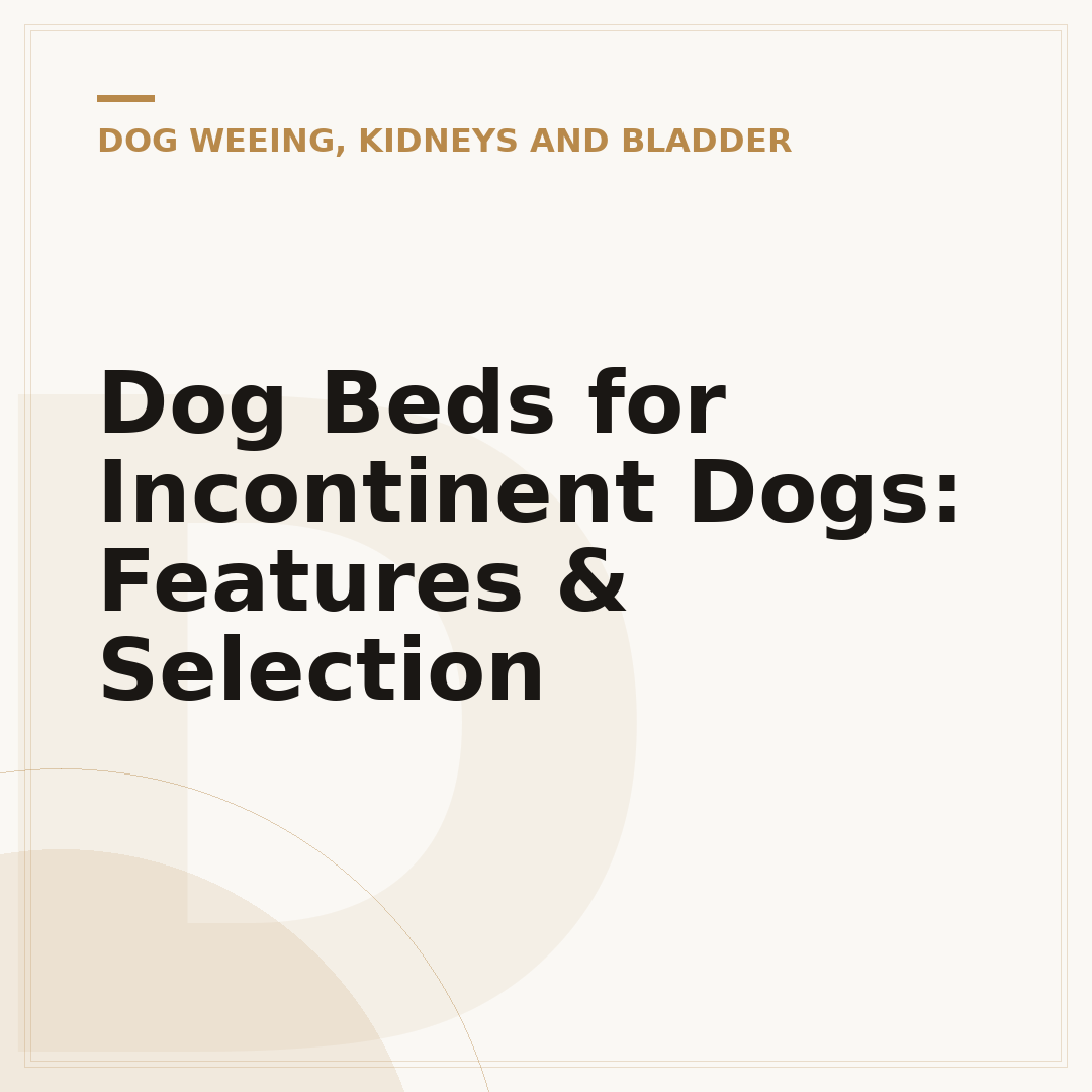 Dog Beds for Incontinent Dogs: Features & Selection