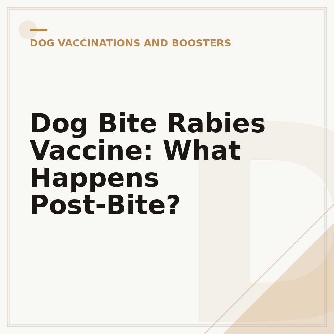 Dog Bite Rabies Vaccine: What Happens Post-Bite?