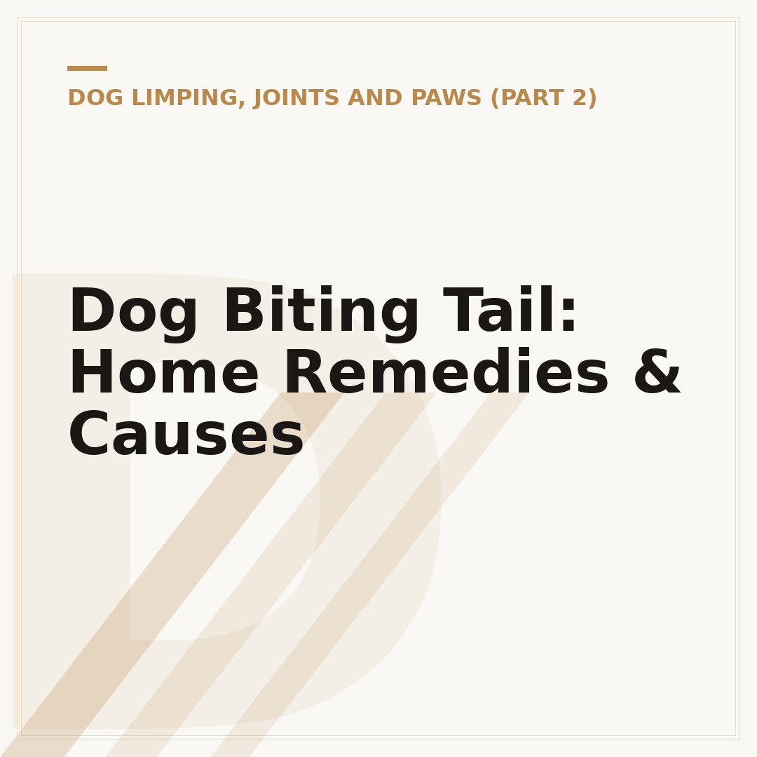 Dog Biting Tail: Home Remedies & Causes