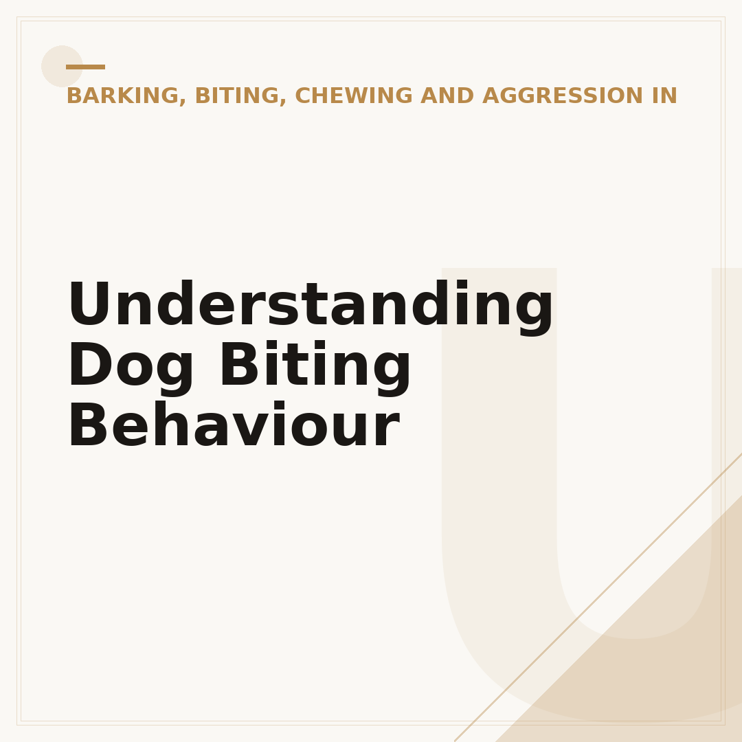 Understanding Dog Biting Behaviour