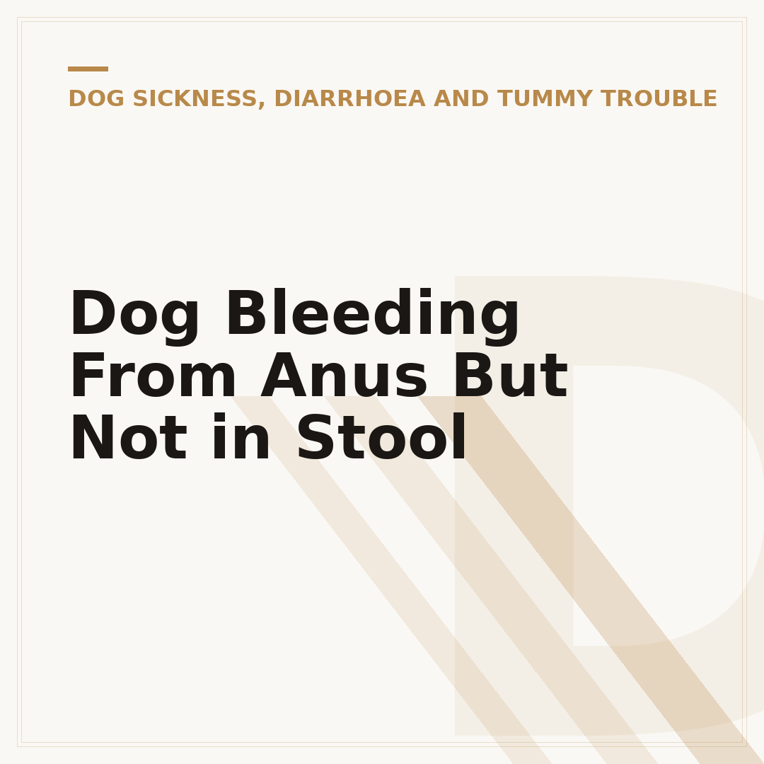 Dog Bleeding From Anus But Not in Stool