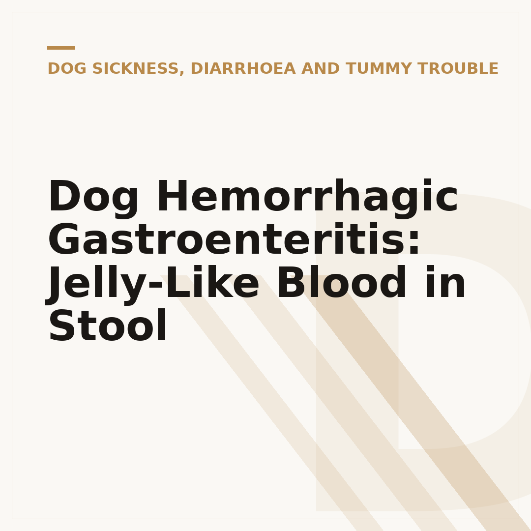 Dog Hemorrhagic Gastroenteritis: Jelly-Like Blood in Stool