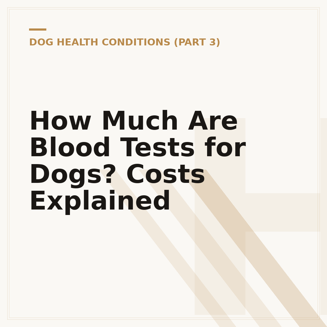 How Much Are Blood Tests for Dogs? Costs Explained