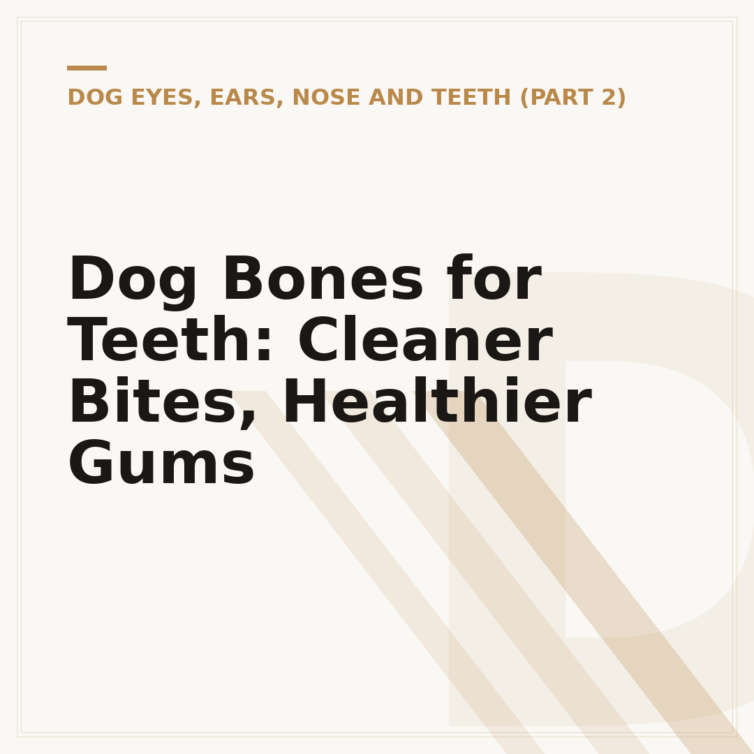 Dog Bones for Teeth: Cleaner Bites, Healthier Gums
