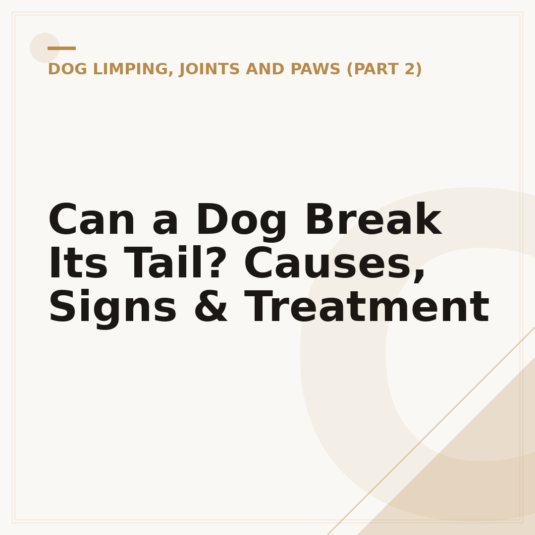 Can a Dog Break Its Tail? Causes, Signs & Treatment