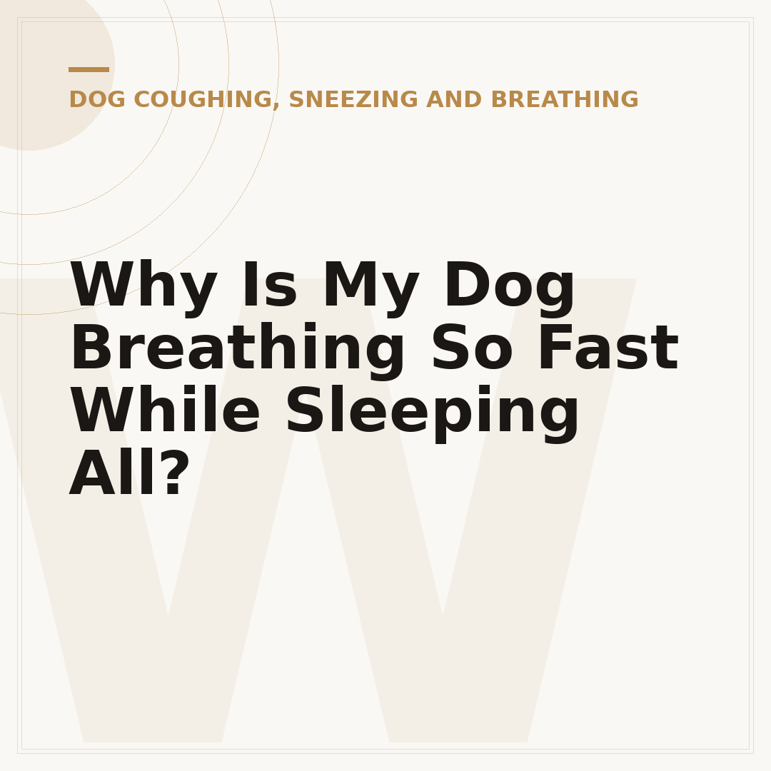 Why Is My Dog Breathing So Fast While Sleeping All?