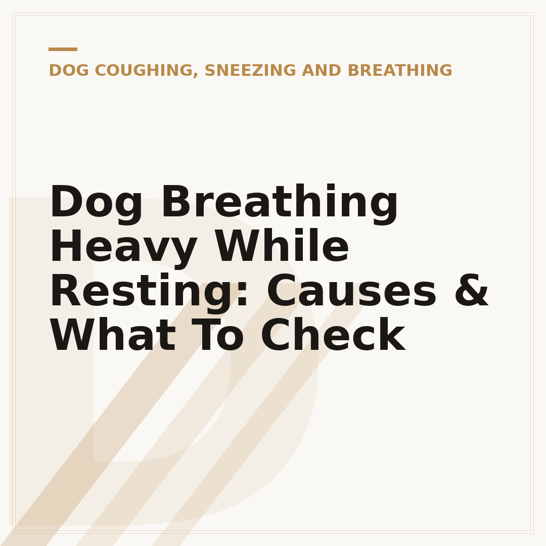 Dog Breathing Heavy While Resting: Causes & What To Check