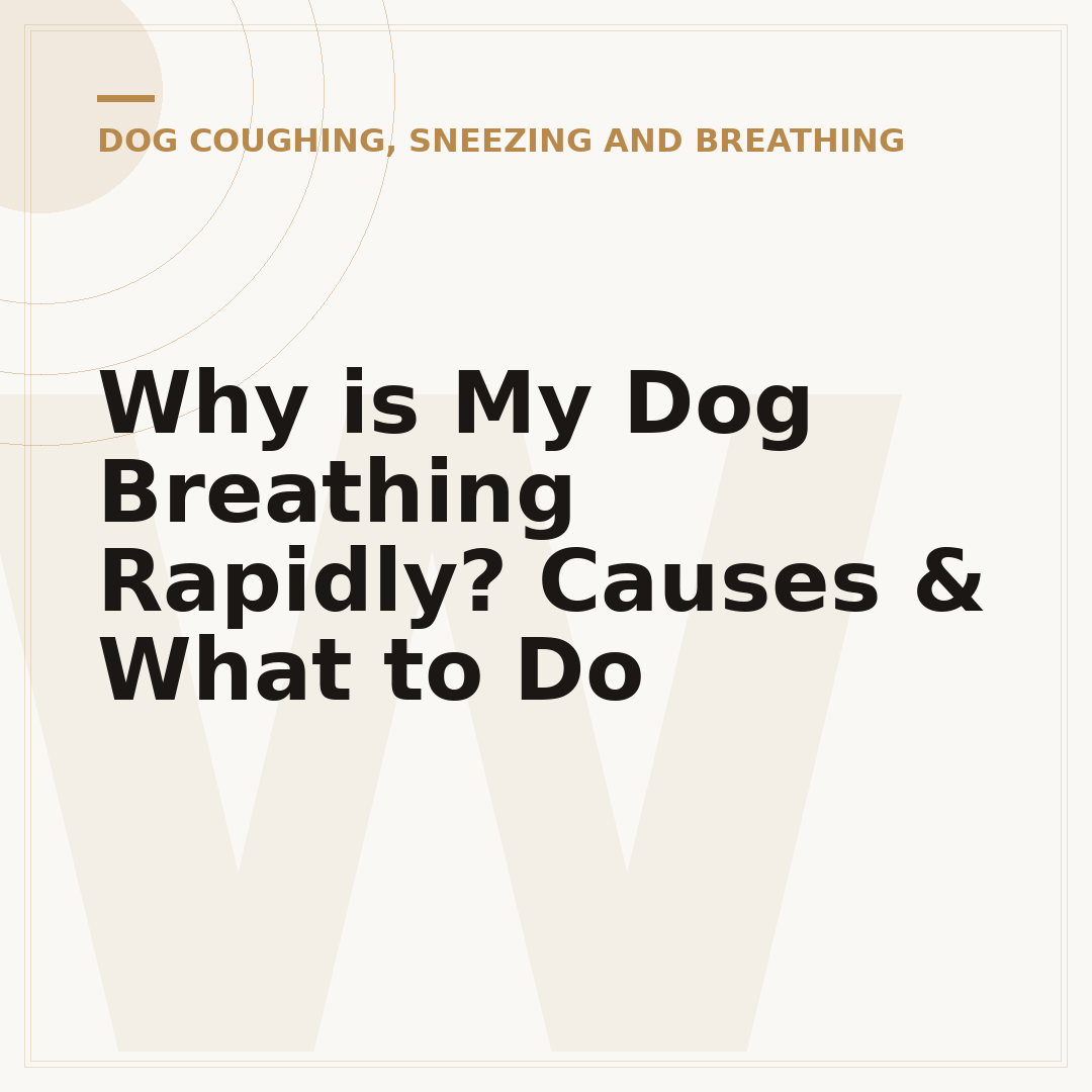 Why is My Dog Breathing Rapidly? Causes & What to Do