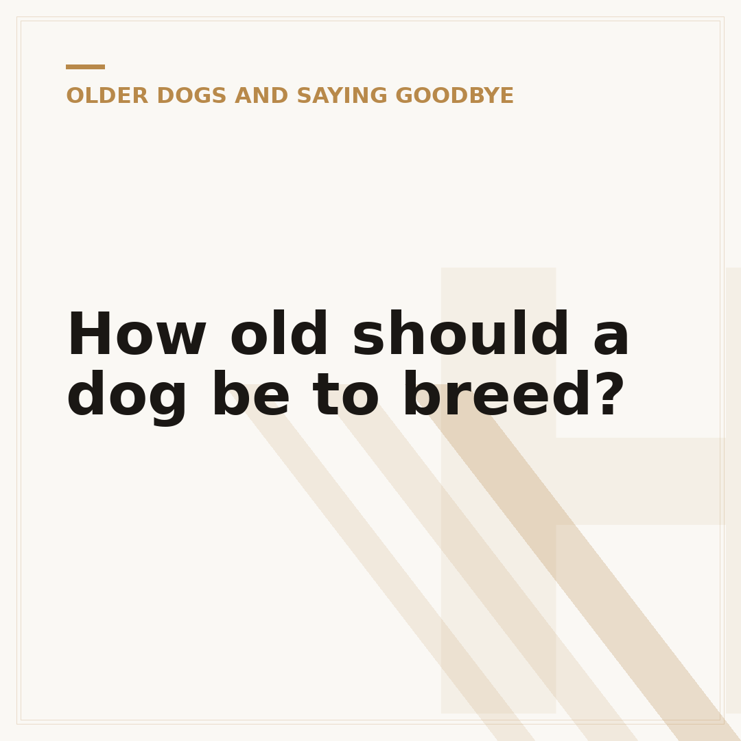 How old should a dog be to breed?
