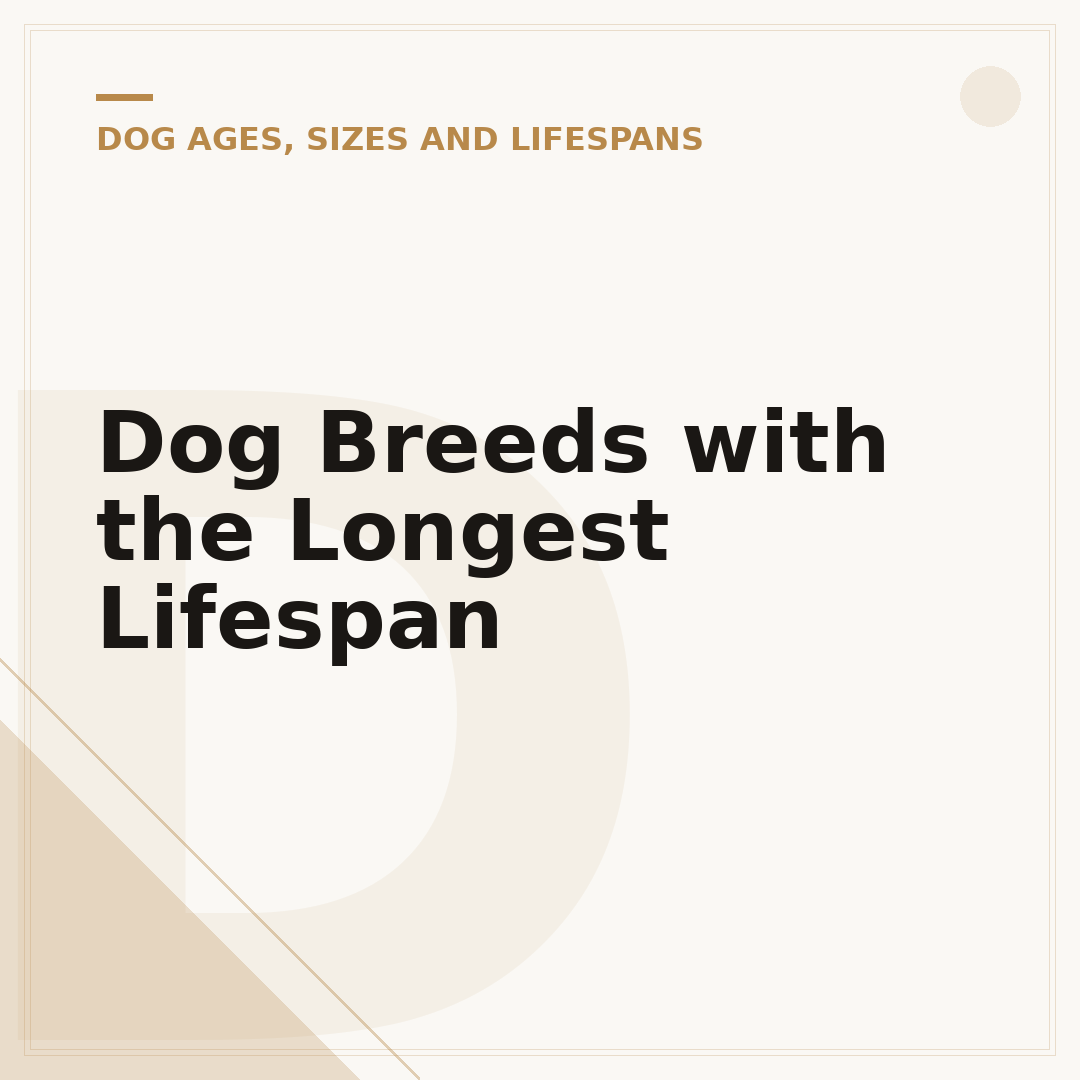 Dog Breeds with the Longest Lifespan