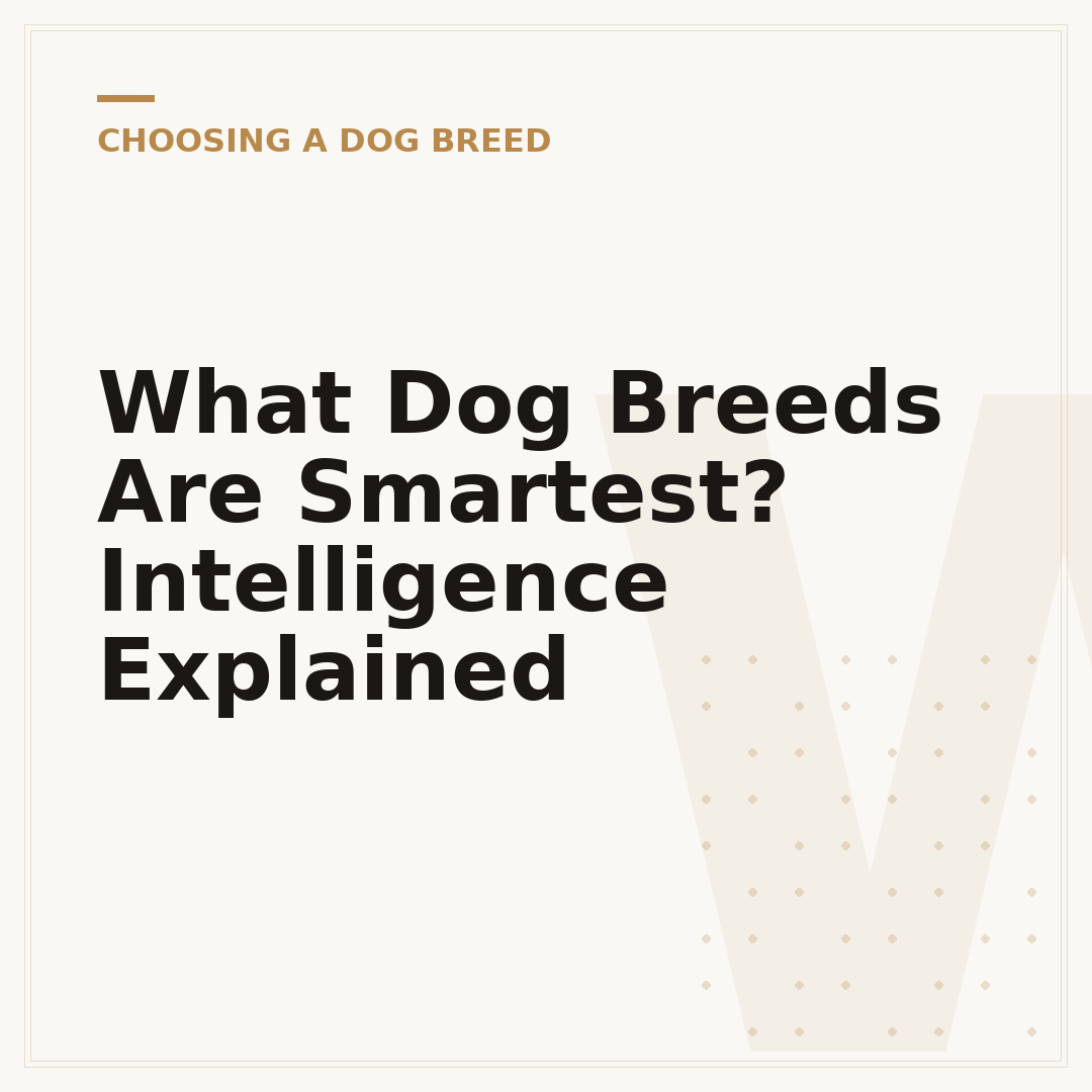What Dog Breeds Are Smartest? Intelligence Explained