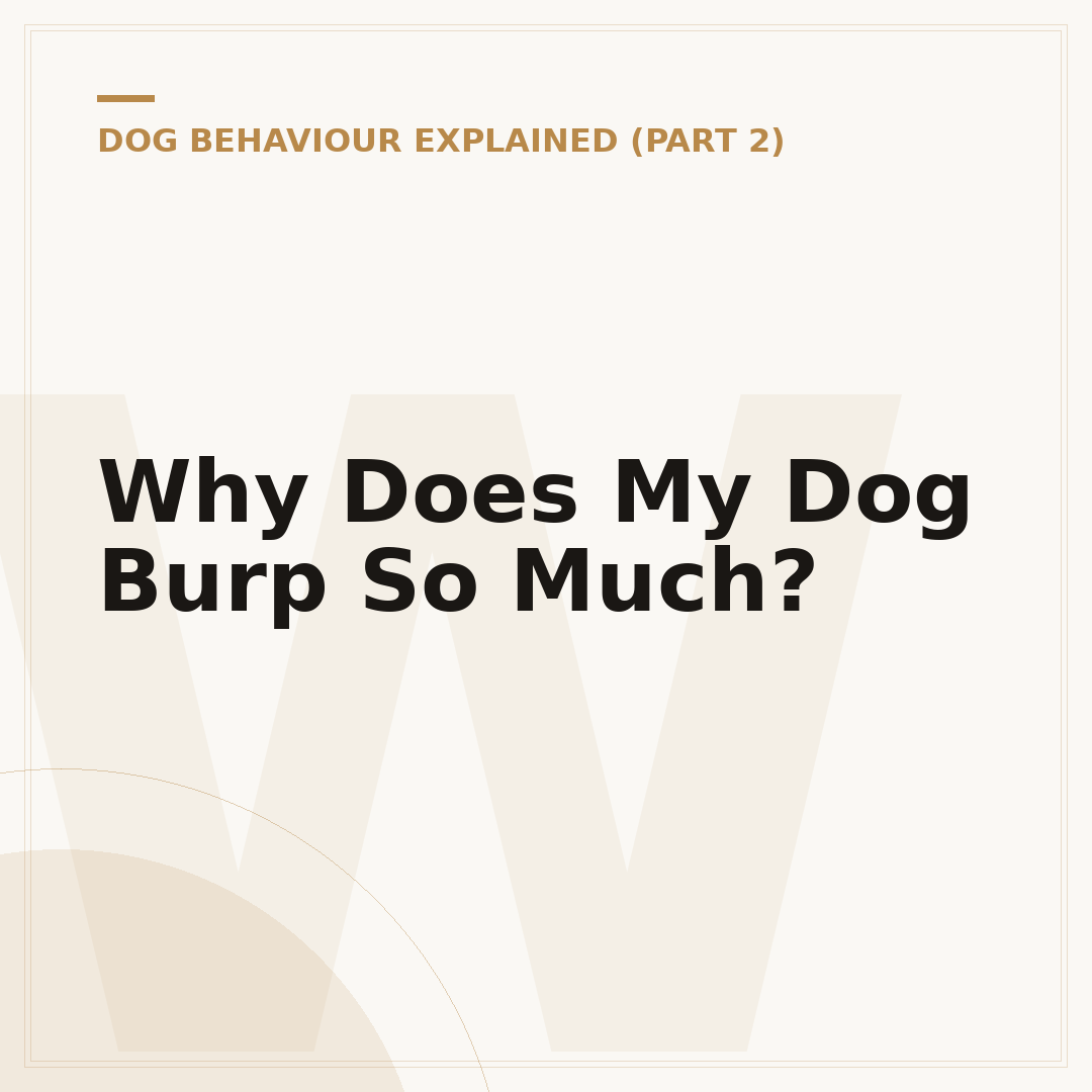 Why Does My Dog Burp So Much?