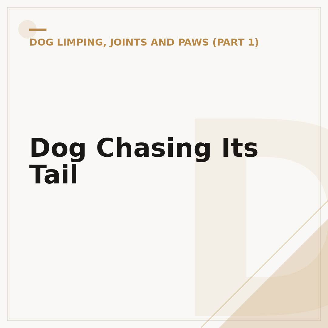 Dog Chasing Its Tail
