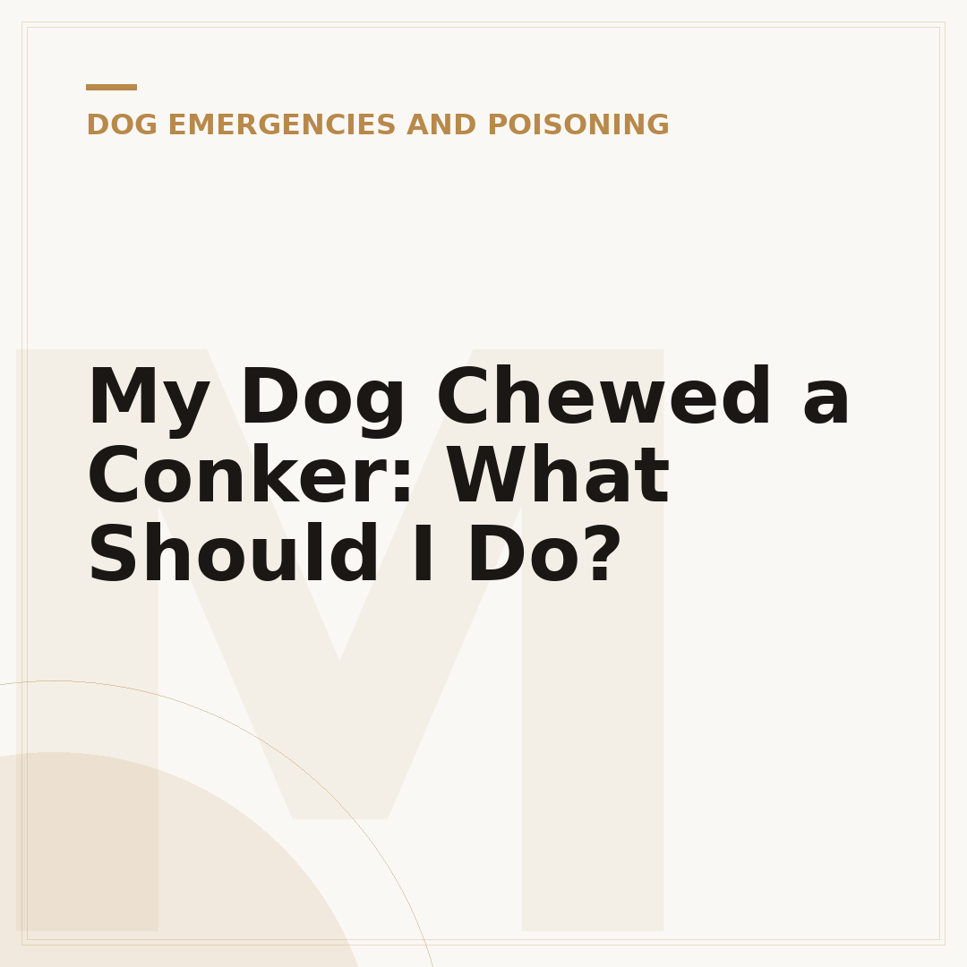 My Dog Chewed a Conker: What Should I Do?
