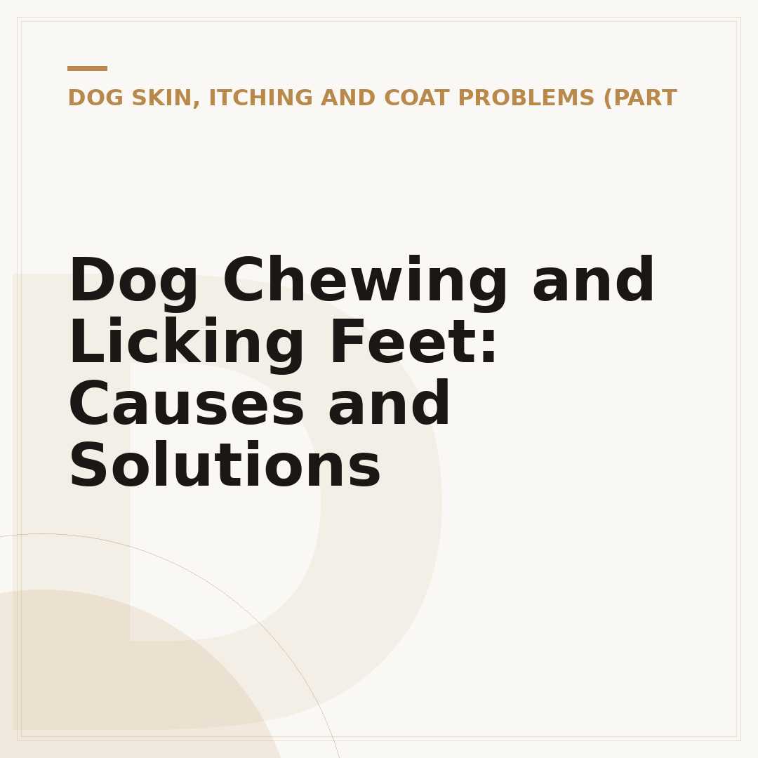 Dog Chewing and Licking Feet: Causes and Solutions