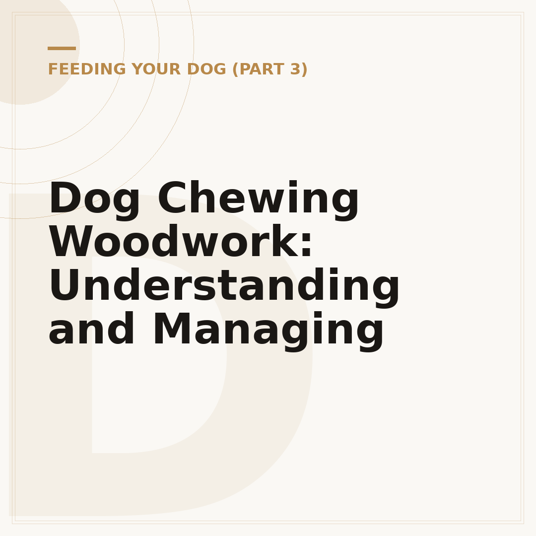 Dog Chewing Woodwork: Understanding and Managing