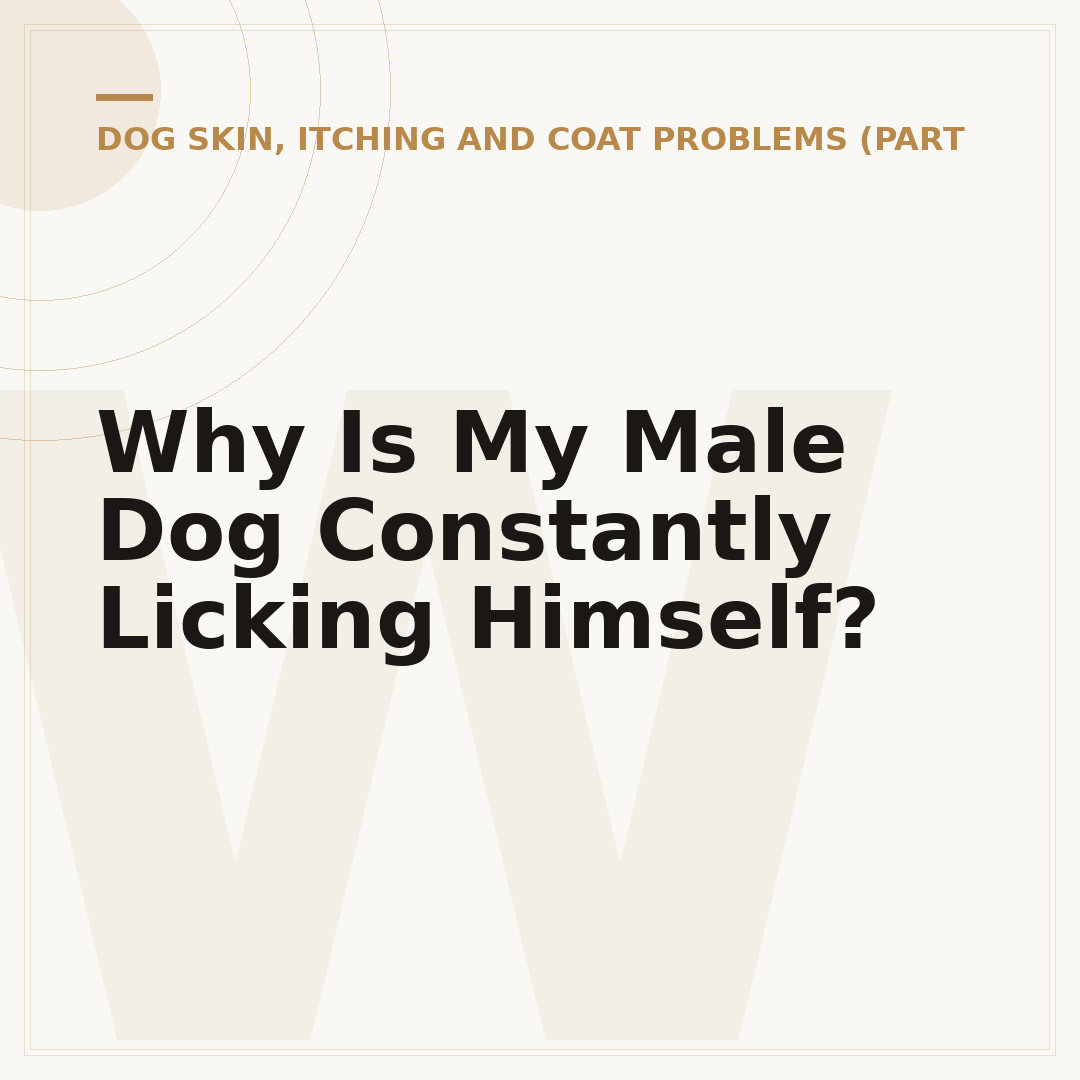 Why Is My Male Dog Constantly Licking Himself?