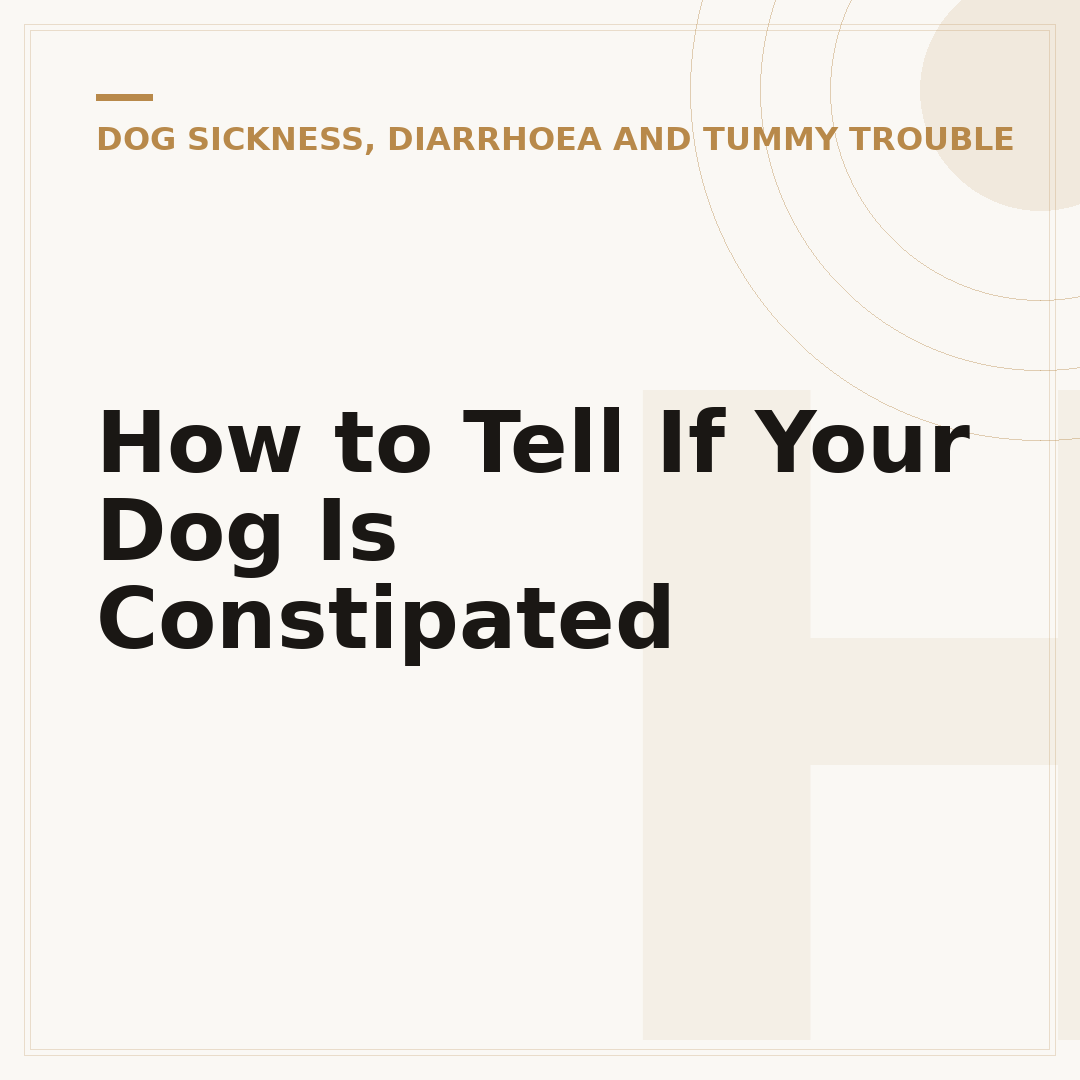 How to Tell If Your Dog Is Constipated