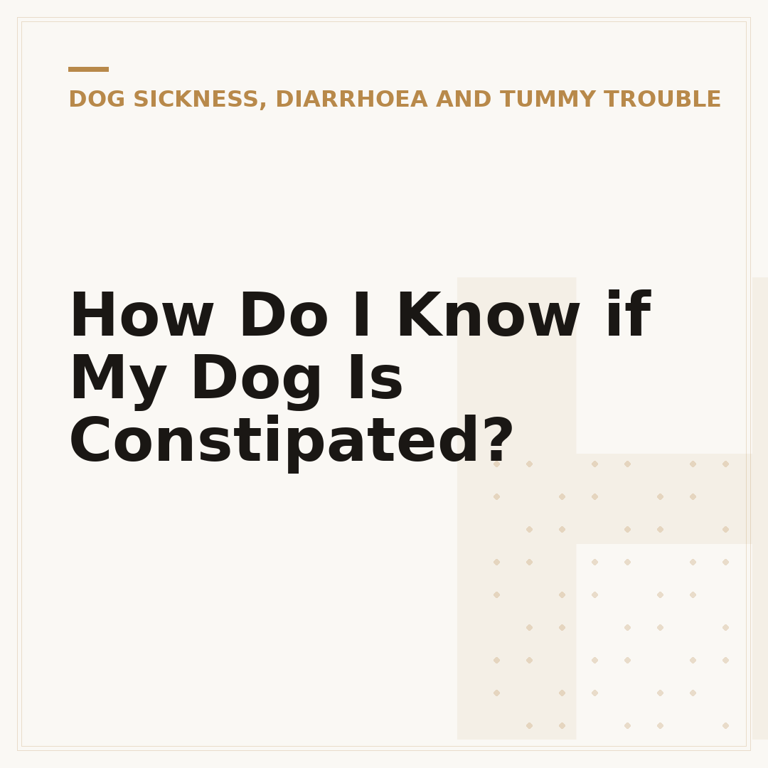 How Do I Know if My Dog Is Constipated?