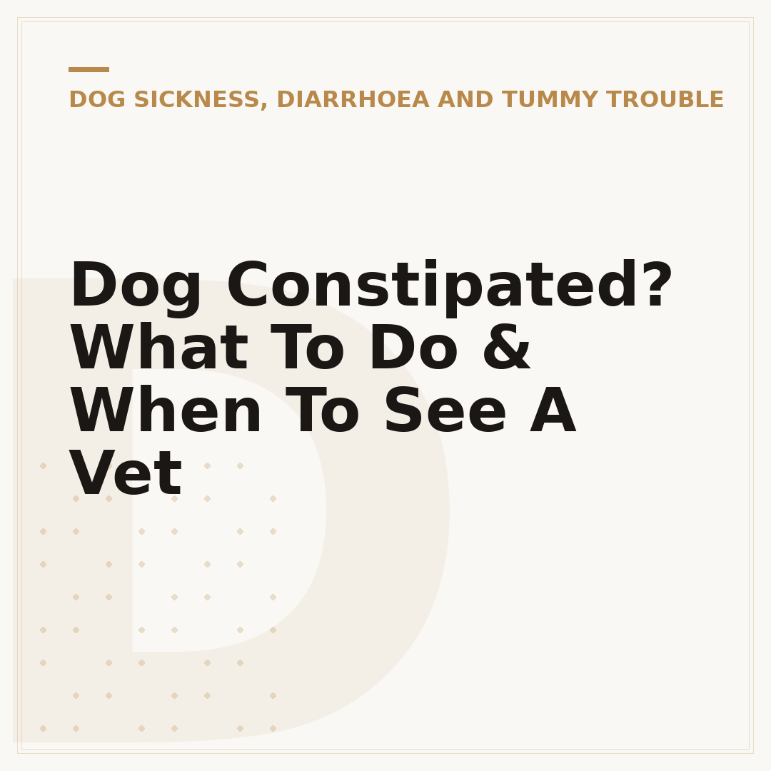 Dog Constipated? What To Do & When To See A Vet