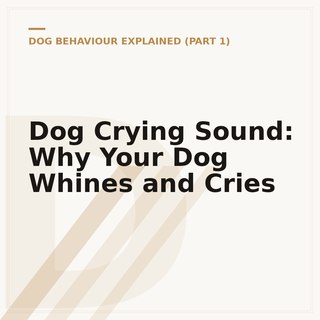 Dog Crying Sound: Why Your Dog Whines and Cries