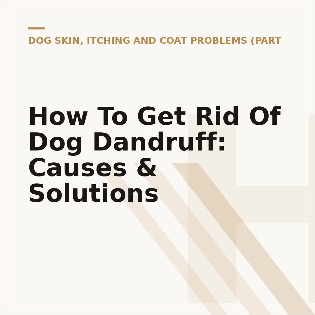 How To Get Rid Of Dog Dandruff: Causes & Solutions