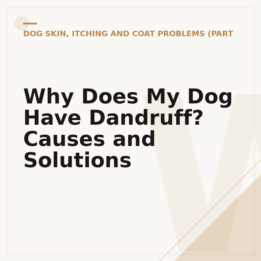 Why Does My Dog Have Dandruff? Causes and Solutions