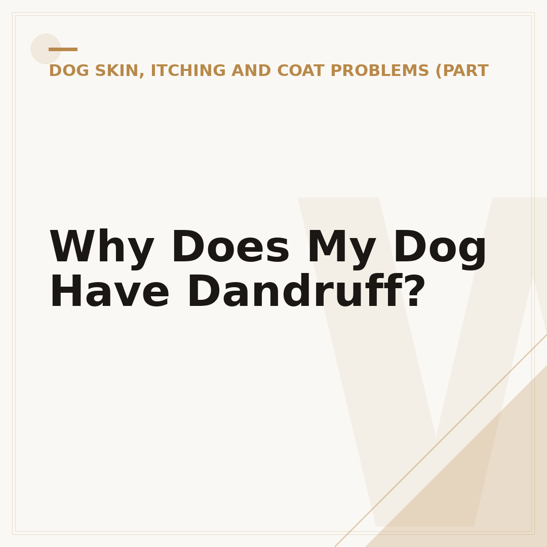 Why Does My Dog Have Dandruff?
