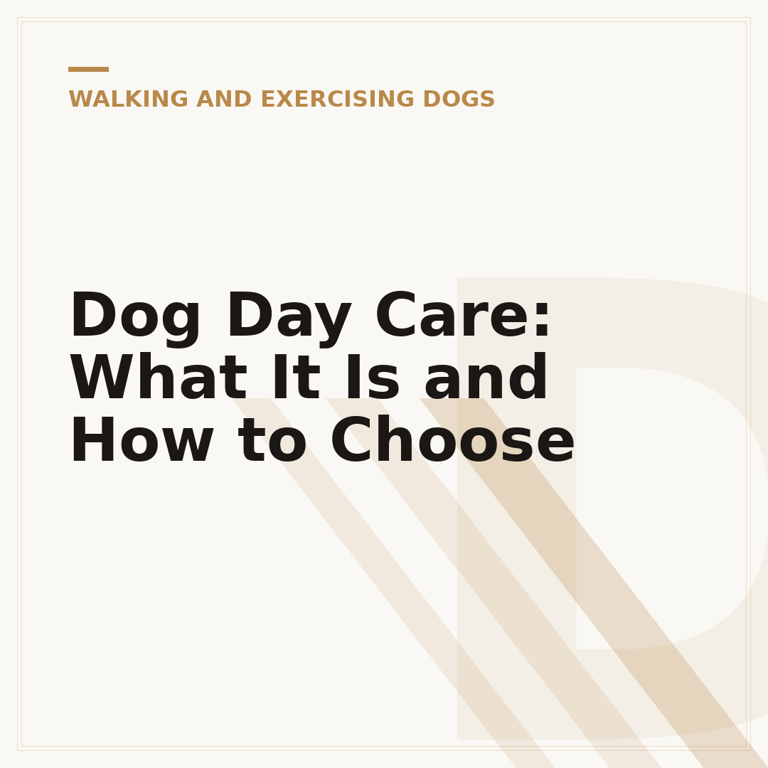 Dog Day Care: What It Is and How to Choose
