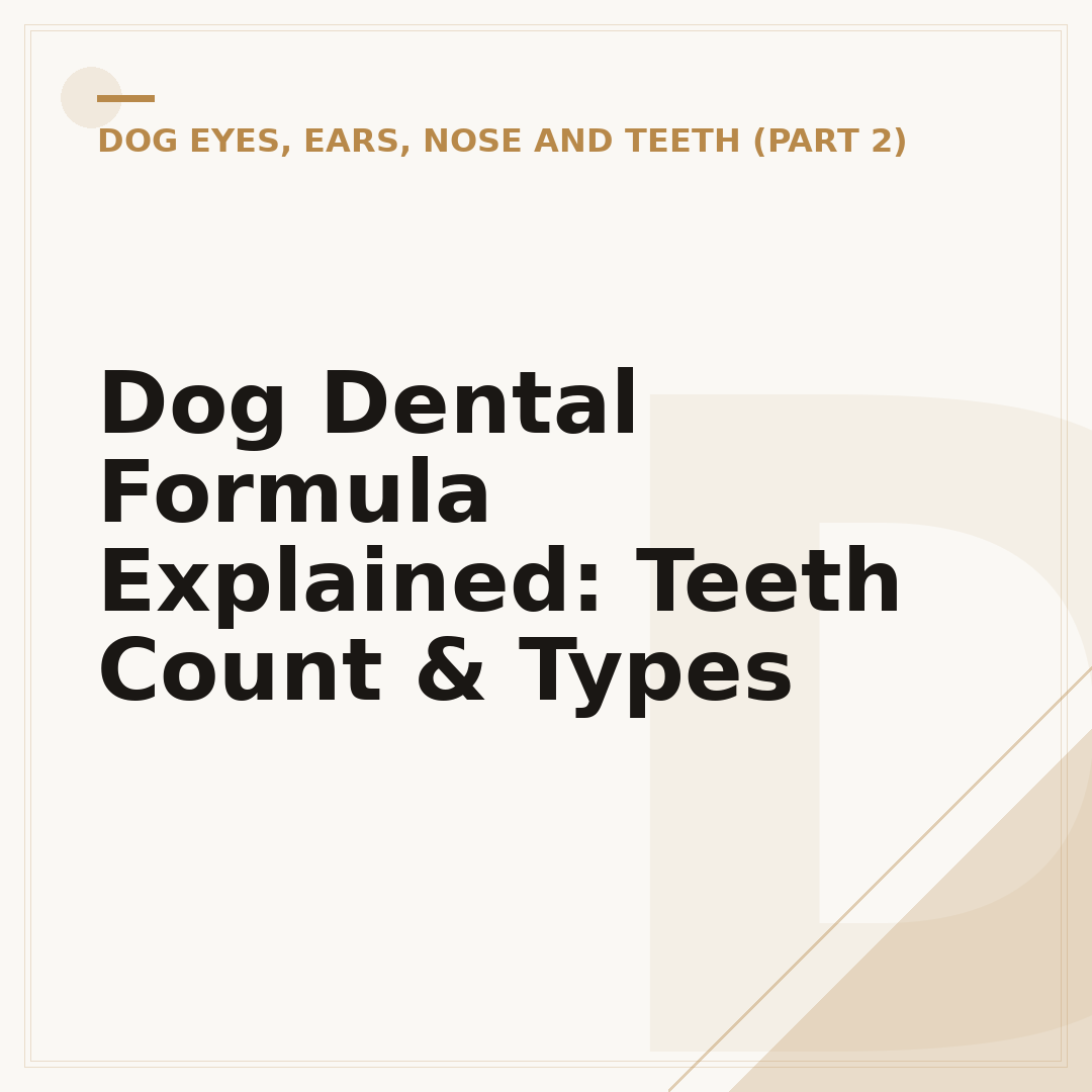 Dog Dental Formula Explained: Teeth Count & Types