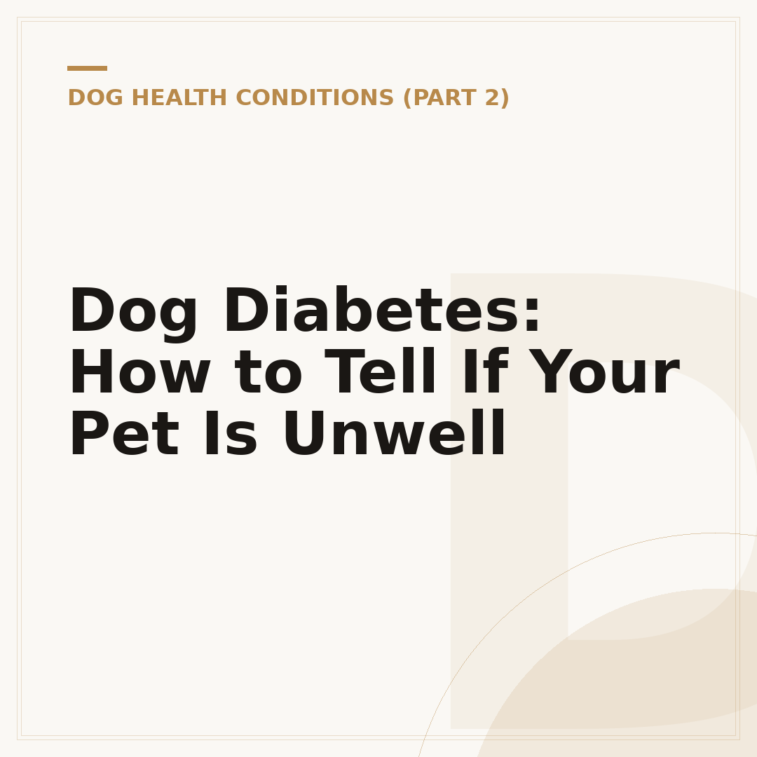 Dog Diabetes: How to Tell If Your Pet Is Unwell