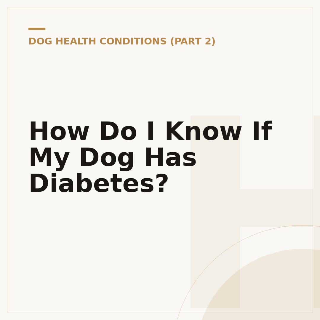 How Do I Know If My Dog Has Diabetes?