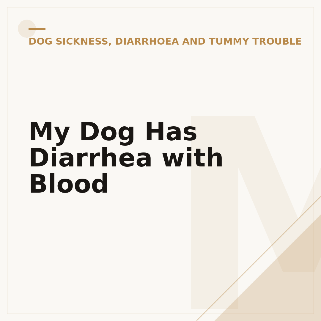My Dog Has Diarrhea with Blood