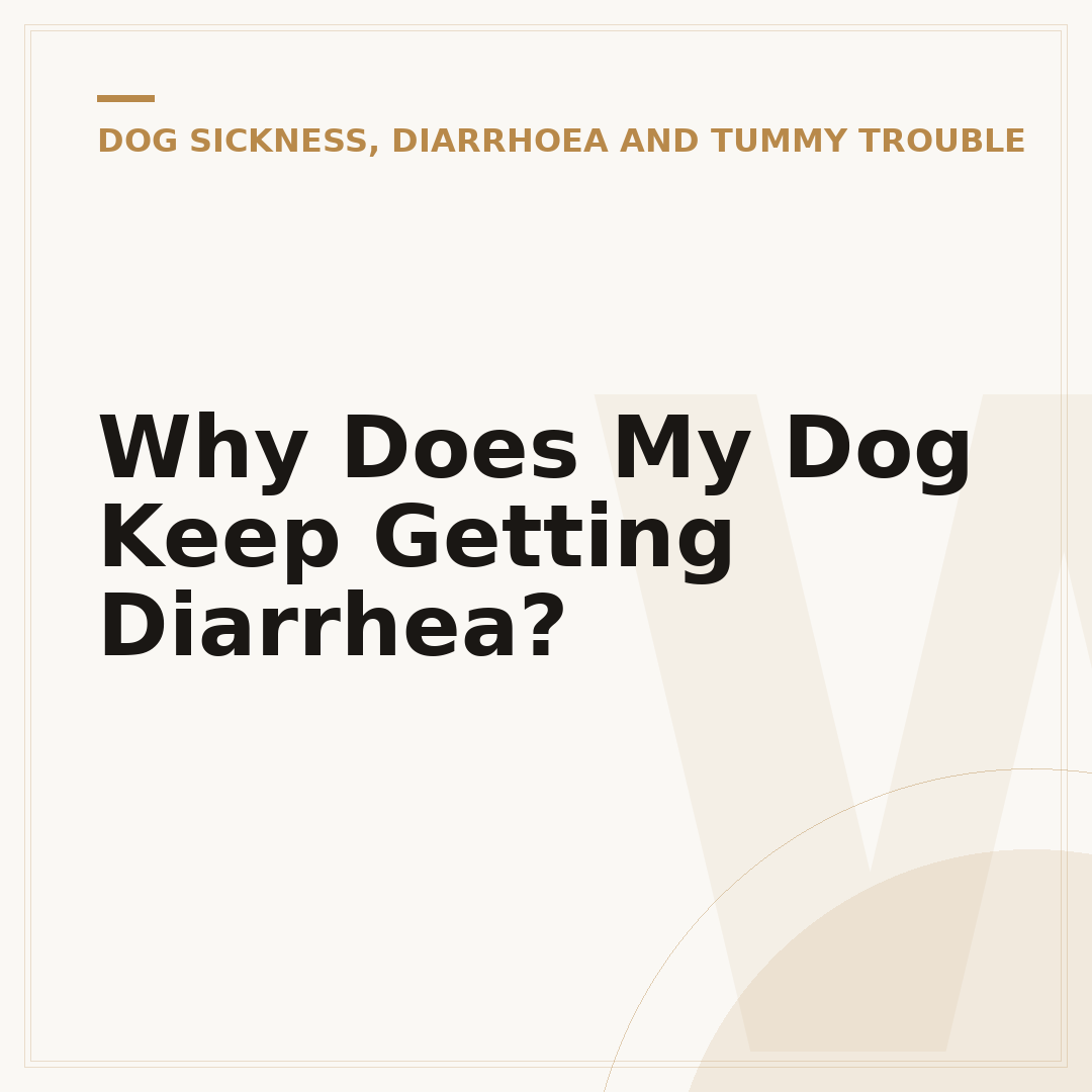 Why Does My Dog Keep Getting Diarrhea?
