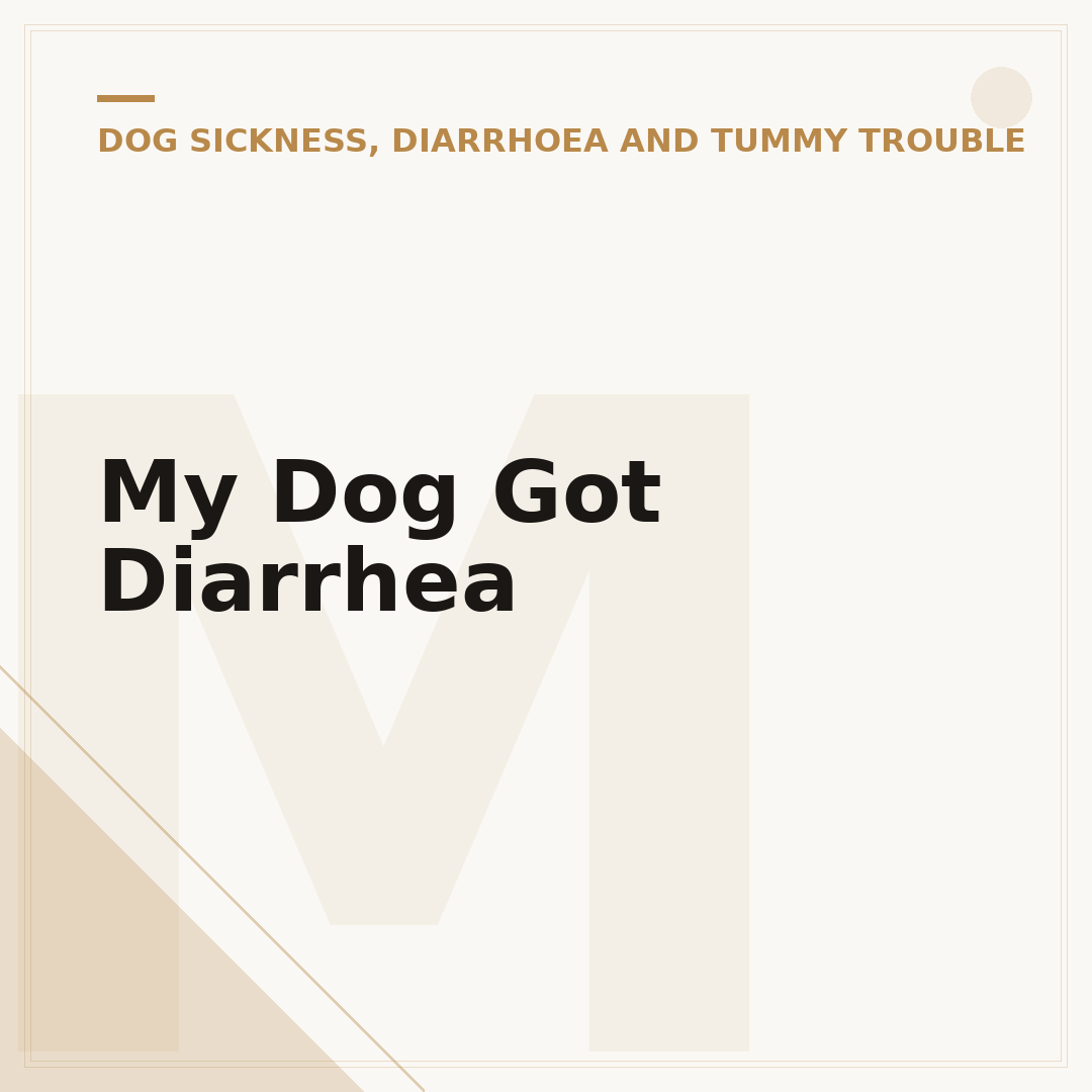 My Dog Got Diarrhea