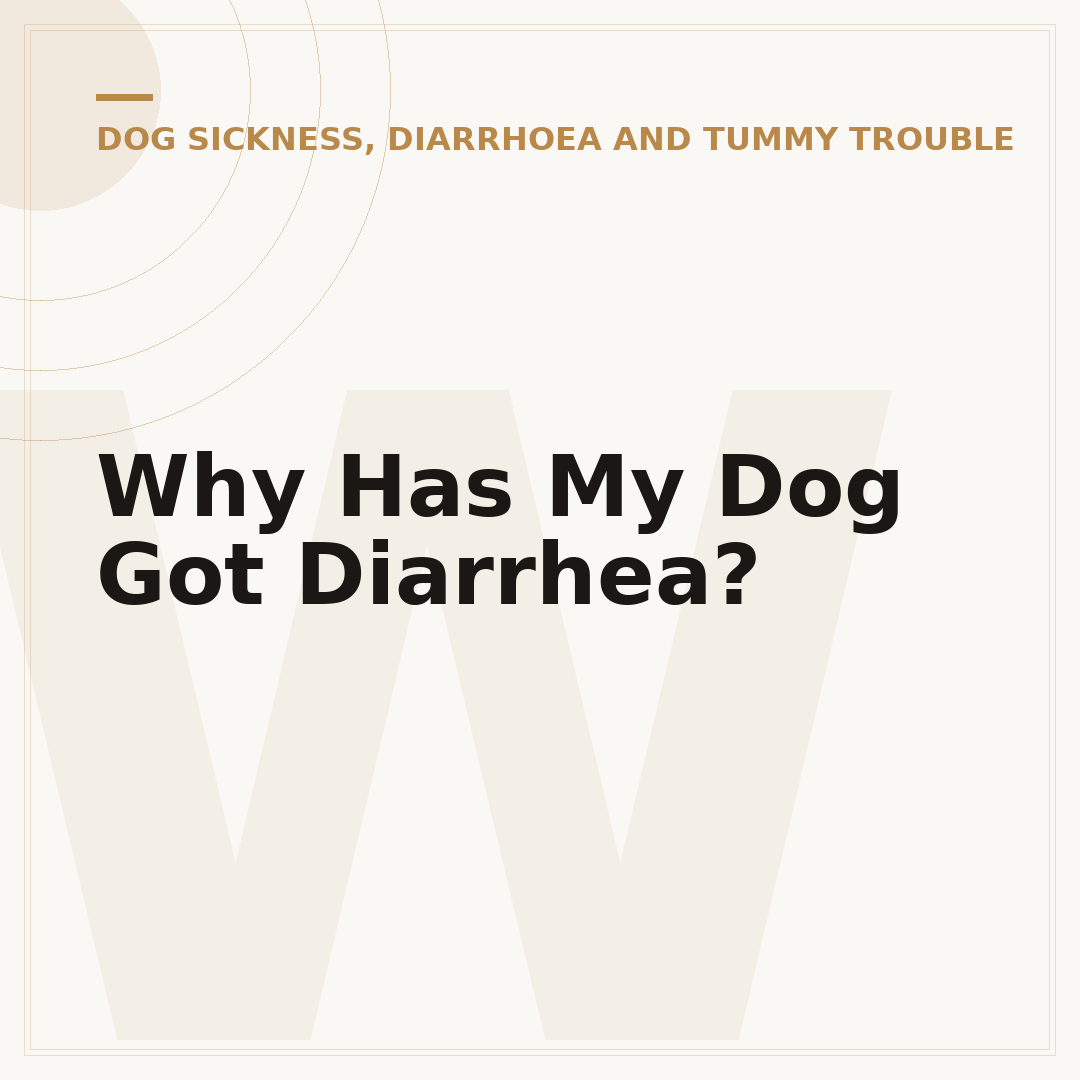 Why Has My Dog Got Diarrhea?