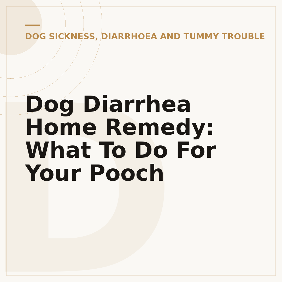 Dog Diarrhea Home Remedy: What To Do For Your Pooch