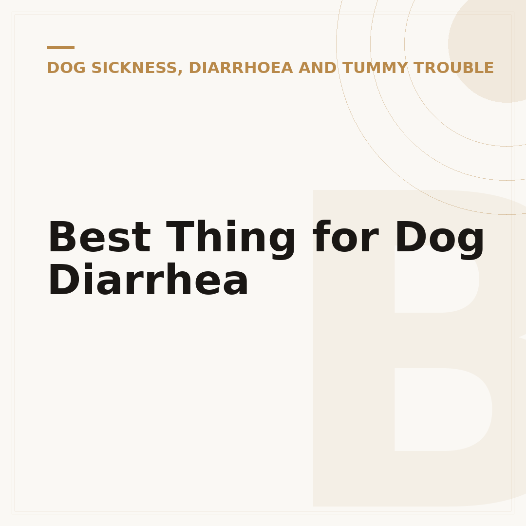 Best Thing for Dog Diarrhea