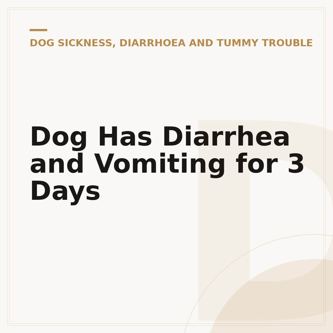 Dog Has Diarrhea and Vomiting for 3 Days