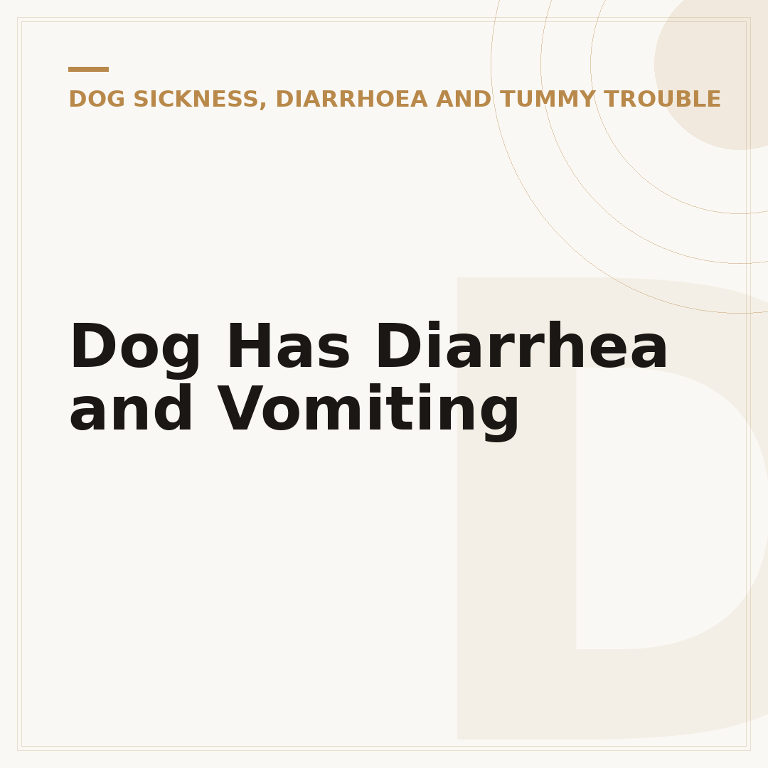Dog Has Diarrhea and Vomiting