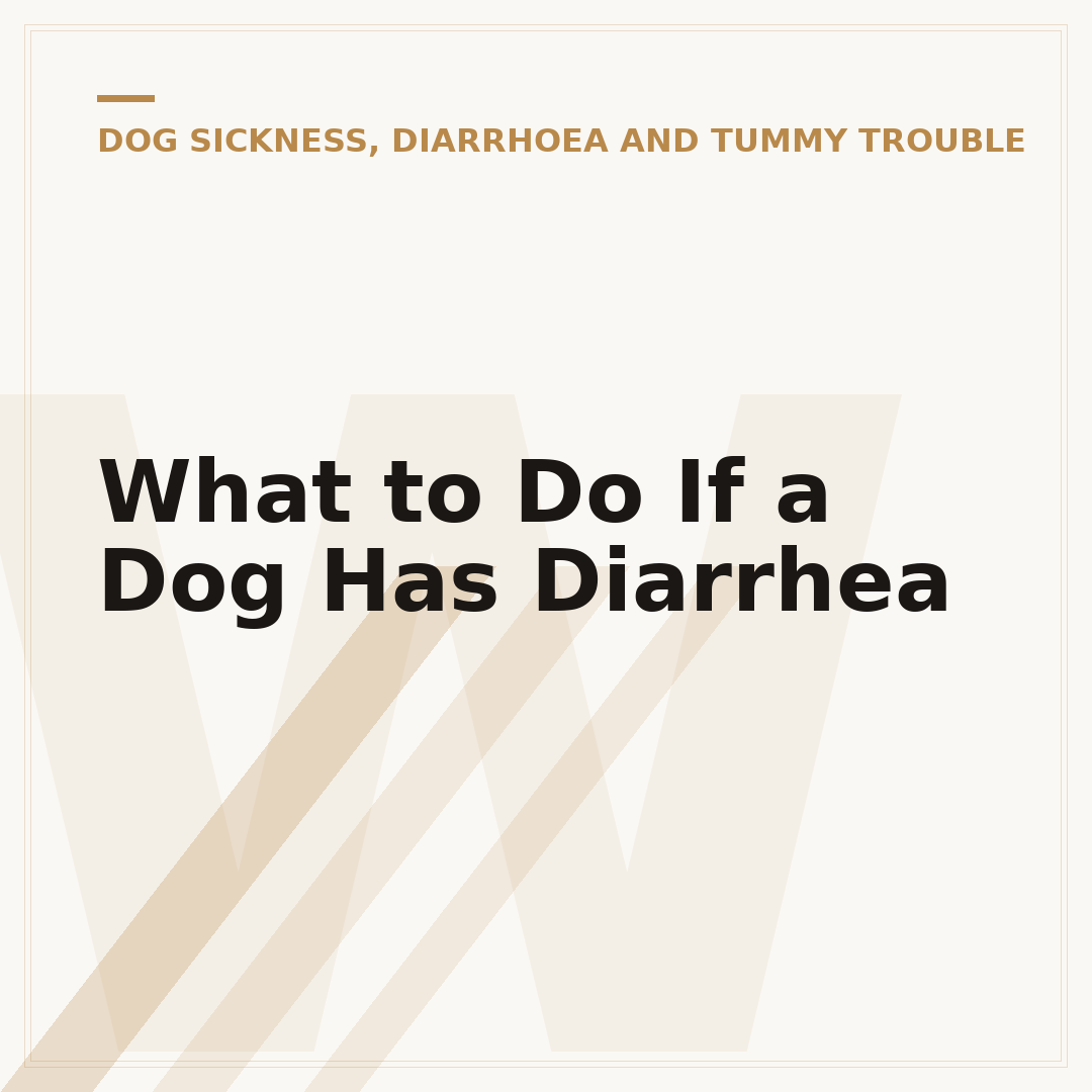 What to Do If a Dog Has Diarrhea