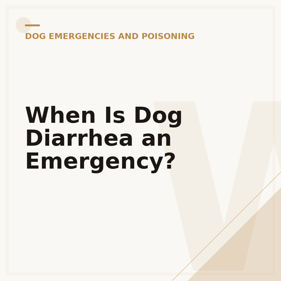 When Is Dog Diarrhea an Emergency?