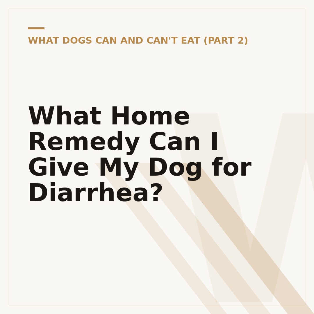 What Home Remedy Can I Give My Dog for Diarrhea?