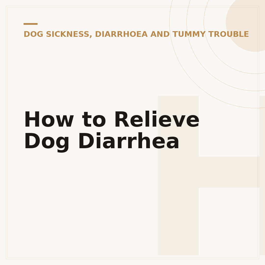 How to Relieve Dog Diarrhea